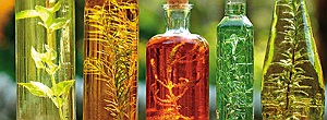 herbal tinctures